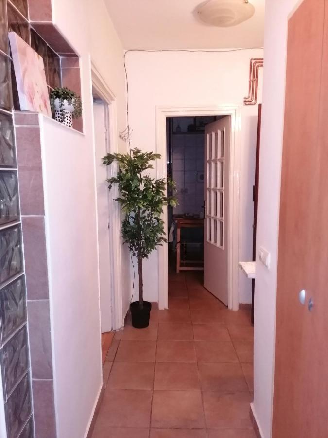 River View, In City Center Apartment Bukareszt Zewnętrze zdjęcie