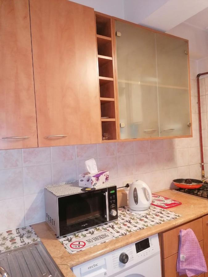 River View, In City Center Apartment Bukareszt Zewnętrze zdjęcie